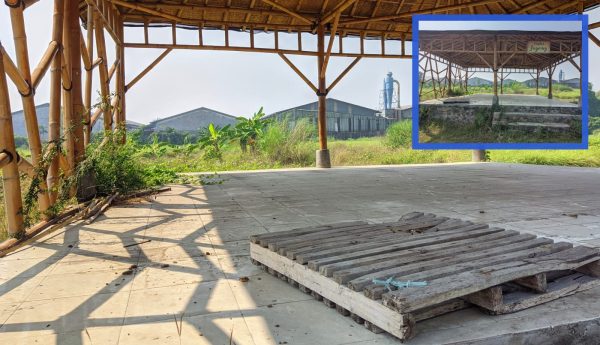 Mangkrak, Balai Jagong Winong Ditumbuhi&nbsp;Rerumputan