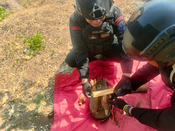 Tim Jibom Detasemen Gegana Sat Brimob Polda Jatim Musnahkan Mortir Dan Ranjau Darat Yang Ditemukan Di Kantor Kecamatan Puspo
